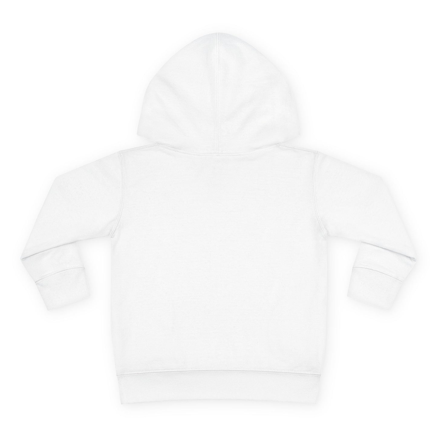 Future Hip Hop Head Toddler Pullover Fleece Hoodie