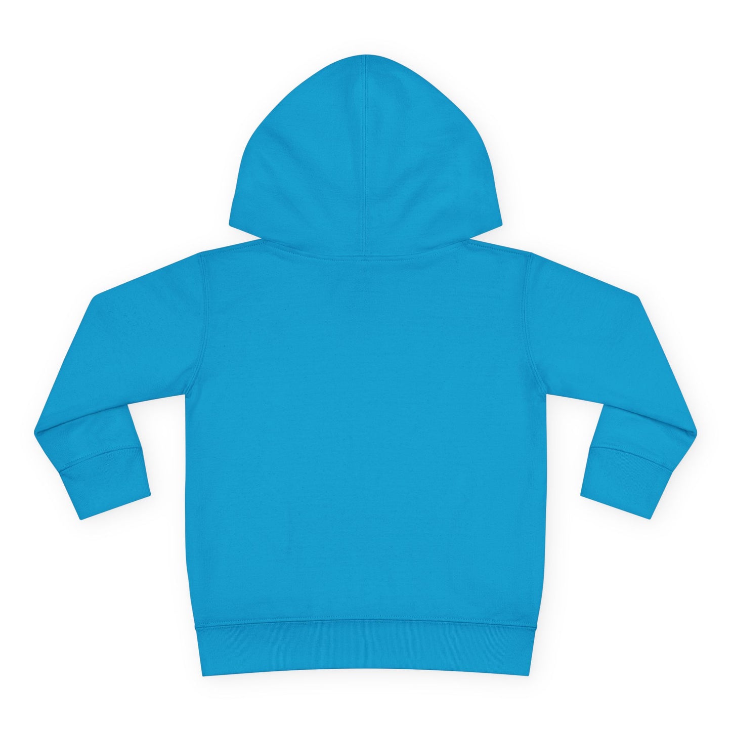 Future Hip Hop Head Toddler Pullover Fleece Hoodie