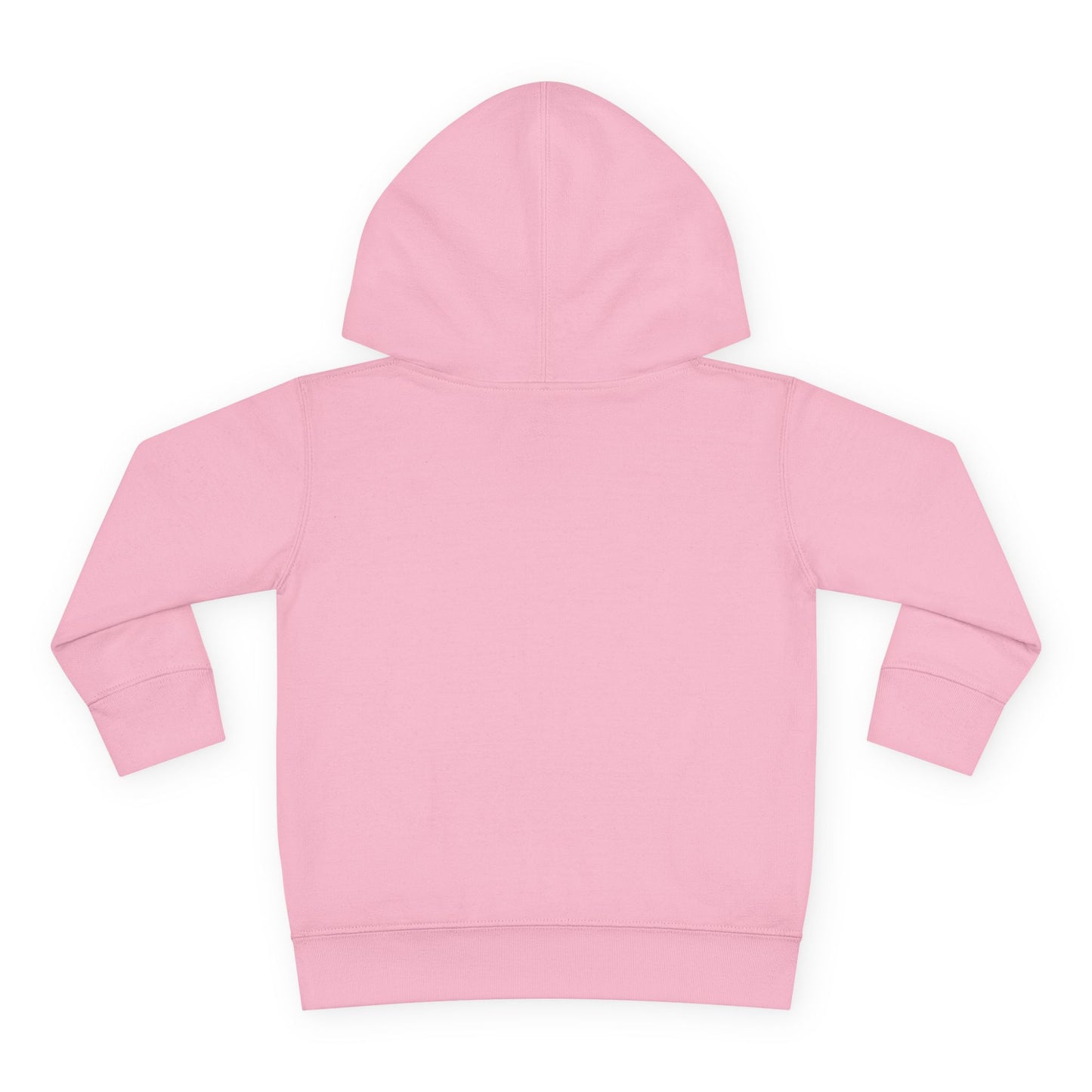 Future Hip Hop Head Toddler Pullover Fleece Hoodie